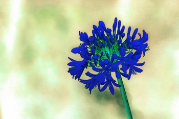 F 062C